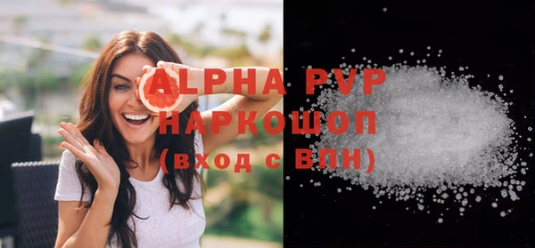 винт Гусь-Хрустальный