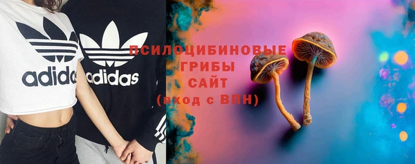 2c-b Гусев