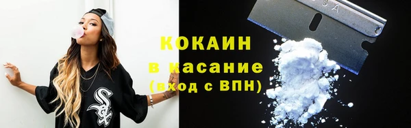 2c-b Гусев
