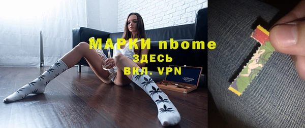 винт Гусь-Хрустальный