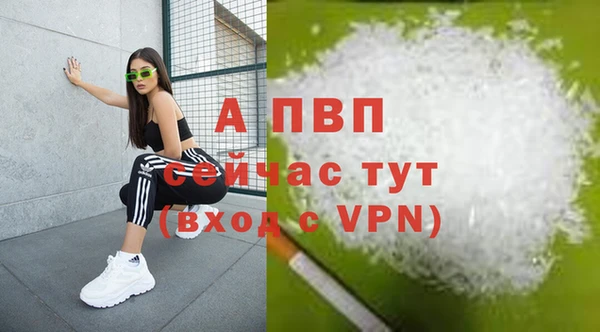 2c-b Гусев