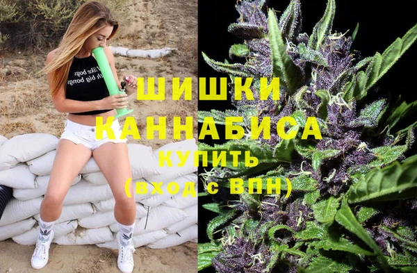2c-b Гусев
