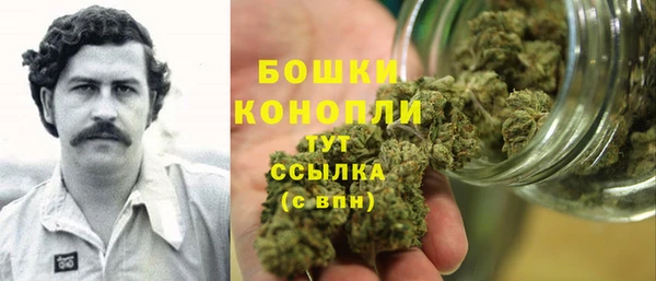 2c-b Гусев