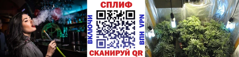 наркошоп  Хабаровск  Бошки марихуана планчик 